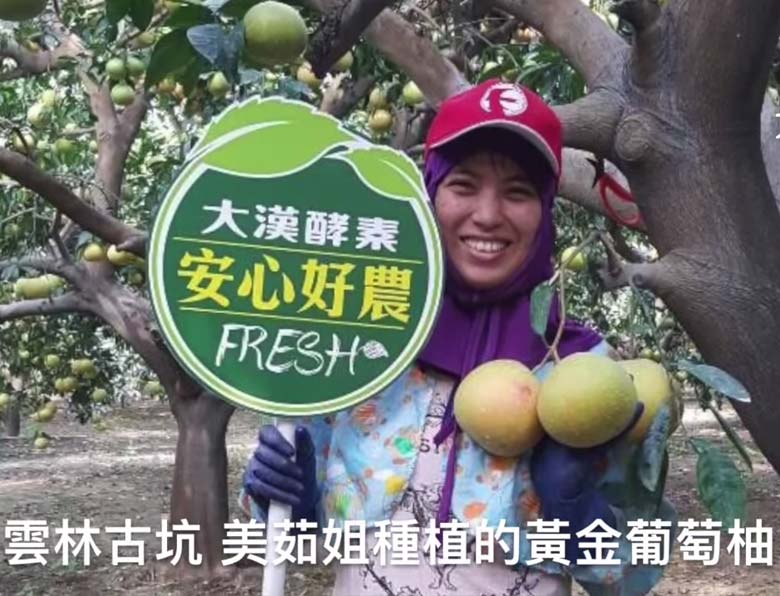 大漢酵素安心好農