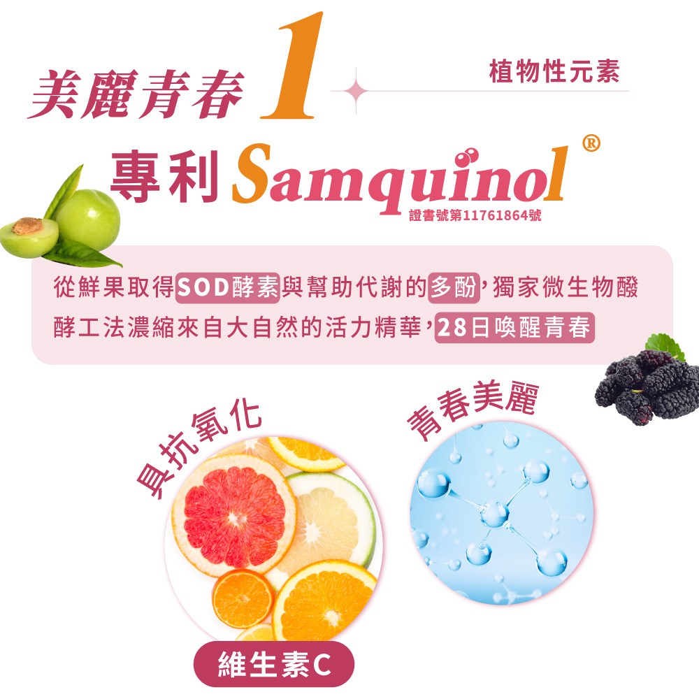 大漢酵素 NMN妃傲酵素 3750